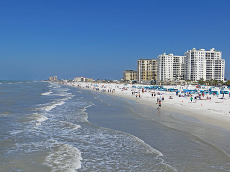 Tampa Bay Area