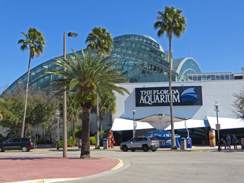 Florida Aquarium, Tampa