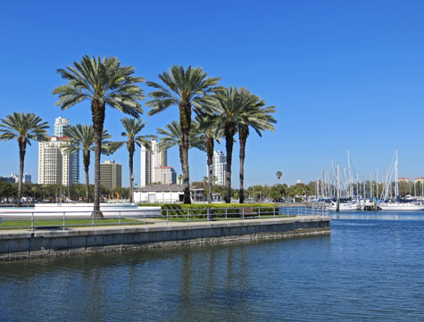 Saint Petersburg on Tampa Bay