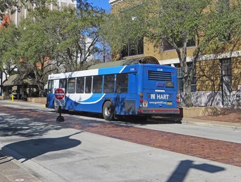Tampa Public Transit